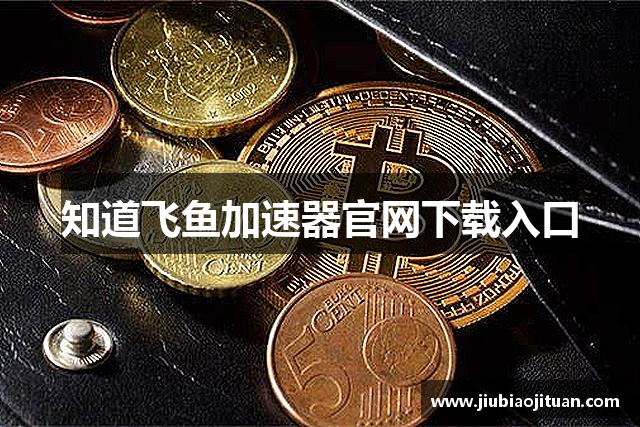 知道飞鱼加速器官网下载入口